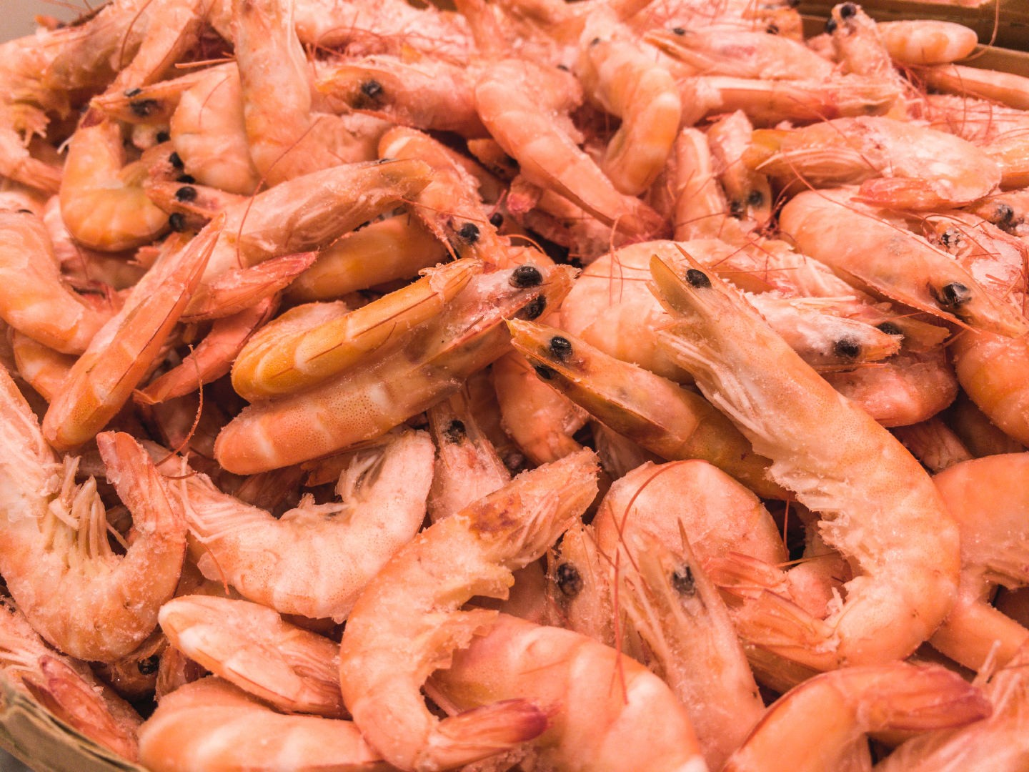 Curso de alérgenos e intolerancias alimentarias